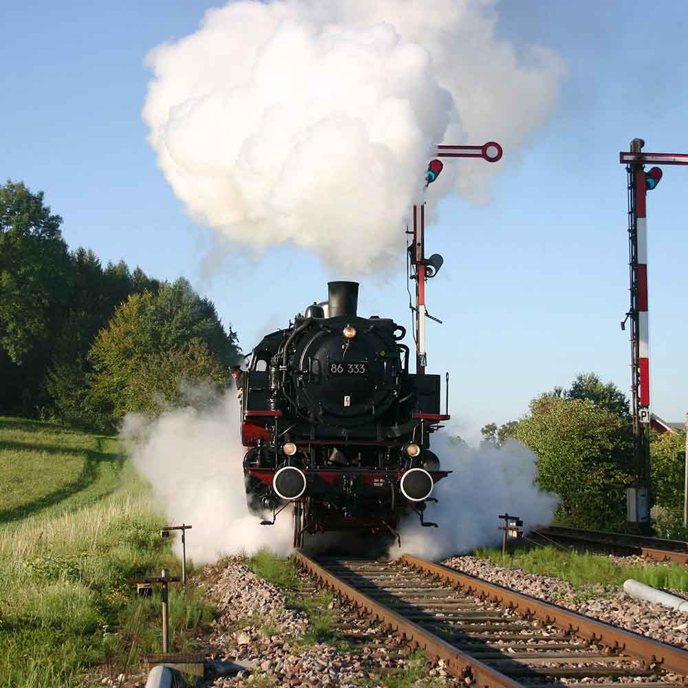 Konuskarte im Schwarzwald