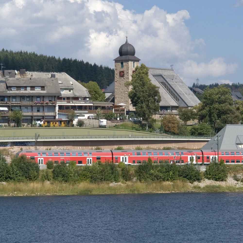 Konuskarte im Schwarzwald